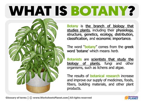 Does botany knowledge affect self care. Things To Know About Does botany knowledge affect self care. 